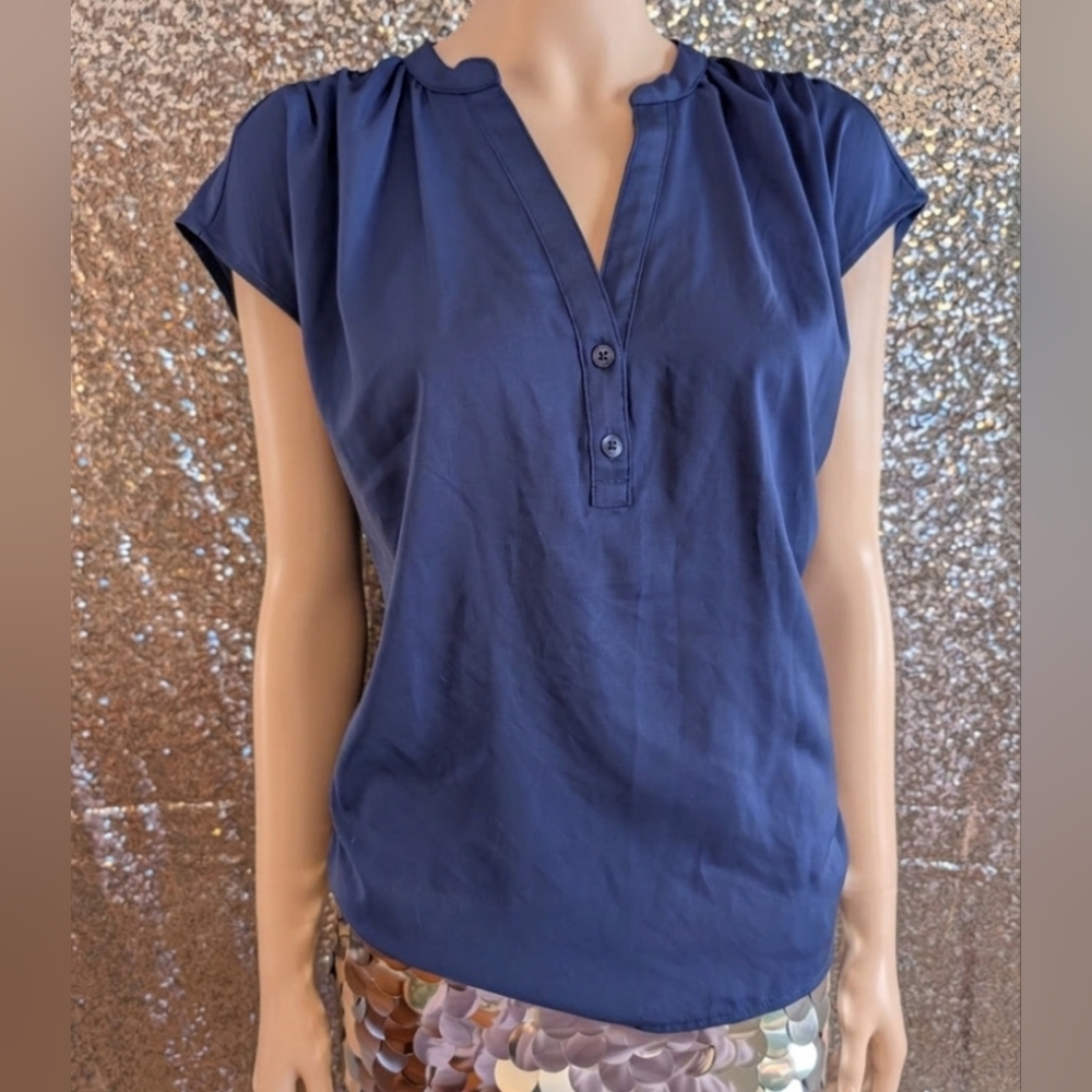 BANANA REPUBLIC Blue Sleeveless Pleated Back Blouse, M
